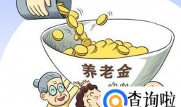 社保养老金领取需哪些条件?