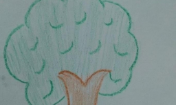 树应该怎么画？