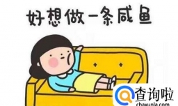 吃货胖子是怎么度过一天的？