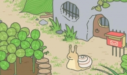 旅行青蛙给蜗牛吃什么回礼更丰厚