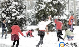 雪地游戏有哪些