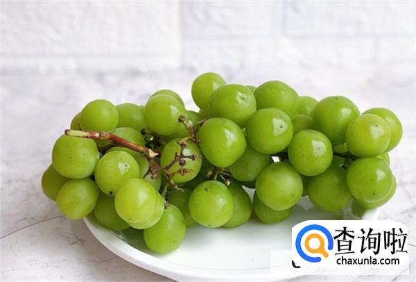 秋天老人应该怎么吃