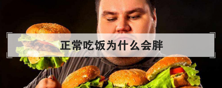 正常吃饭为什么会胖