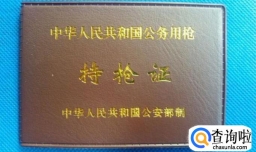 在中国持有气枪违法吗