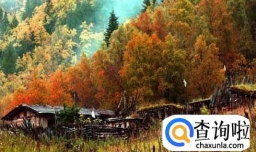 祁连山脉有哪些有特色的森林公园