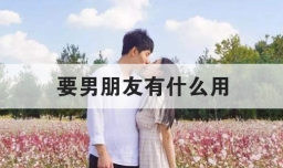 要男朋友有什么用