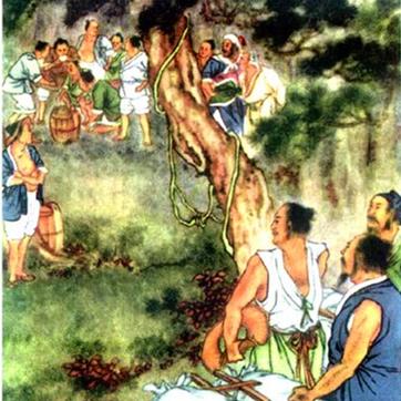 生辰纲是什么东西