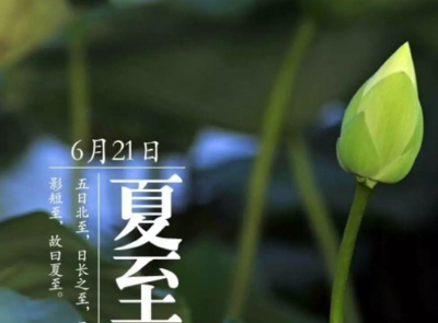 夏至节气的含义