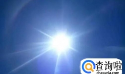 有哪些原因会导致君子兰叶片发黄？