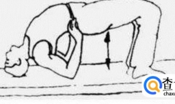 腰背肌锻炼方法