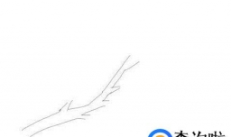 梅花简笔画的画法