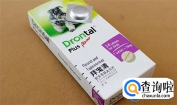拜耳驱虫药怎么吃 给狗狗吃拜耳驱虫药需要禁食吗