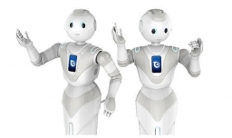 robot是什么意思