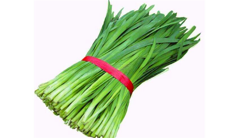 六月的韭菜为什么不能吃