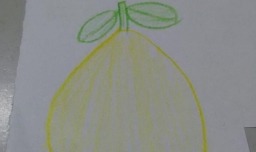 简笔画柚子怎么画