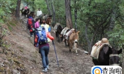 为什么尽量不要独自徒步