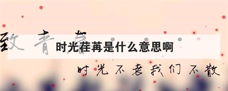 时光荏苒是什么意思啊