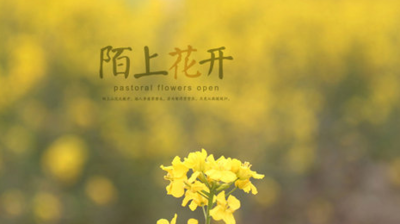 陌上花开什么意思