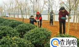 怎样让花草树木过冬