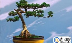 现在农村做什么生意更容易赚钱