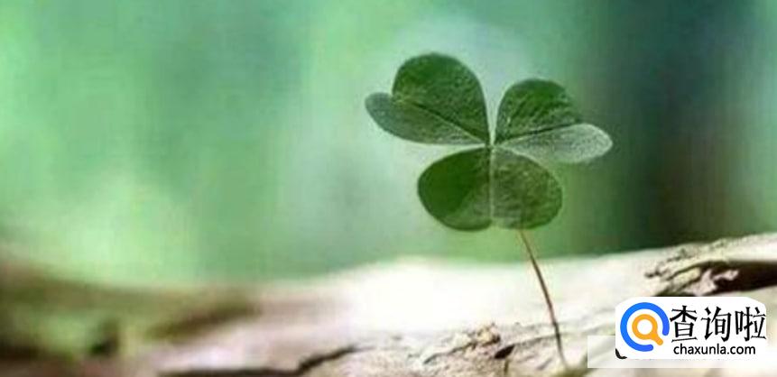 如何才能让自己尽快成长起来？