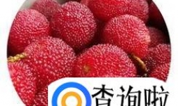 吃杨梅是不是会发胖呢夏季适量吃杨梅可以减肥的