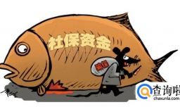 骗社保会带来哪些后果？