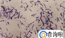 如何治疗破伤风