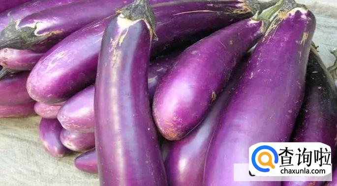 挑选鲜嫩茄子的方法