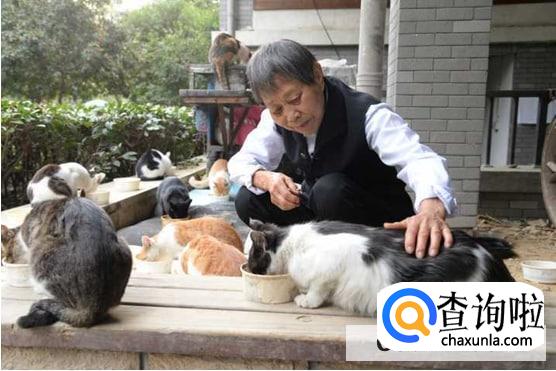 怎样避免猫咪挑食