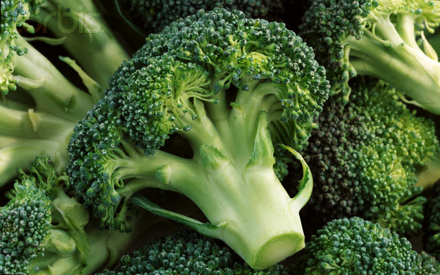  防癌十大类食物排行榜