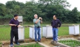 林肯大学预科一年花费