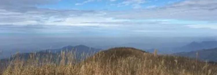 荡然无存是什么意思