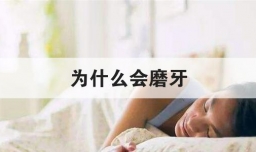 为什么会磨牙