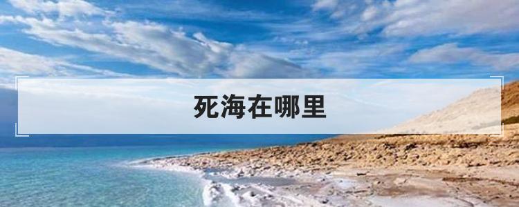 死海在哪里