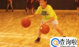 新手怎样快速学会打篮球