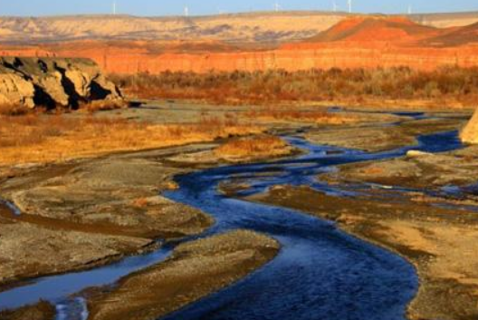 中国最大的省级单位是