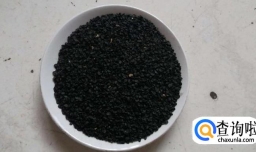 种植大葱的方法