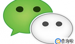 微信群在哪里找