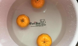 如何炖羊肉好吃？