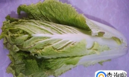 爆炒手撕大白菜