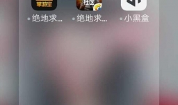 绝地求生的战绩怎么查