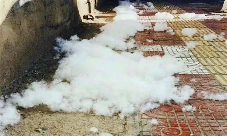 家里到处都是柳絮怎么办