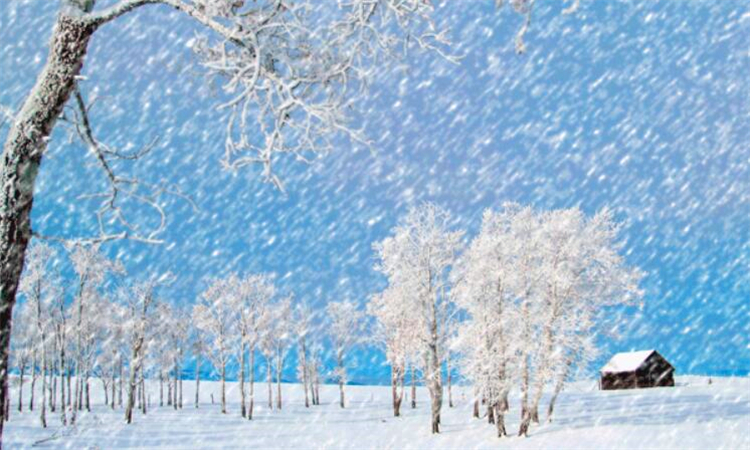 小雪季节如何养生