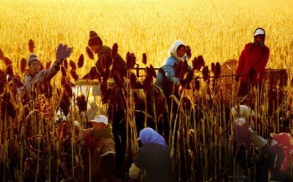 关于劳动的名言有什么