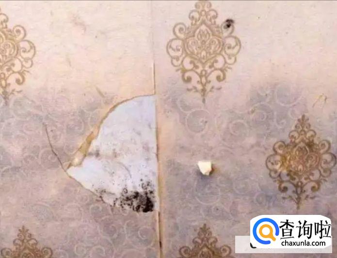 墙纸发霉撕掉后墙面如何处理