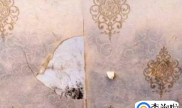 墙纸发霉撕掉后墙面如何处理