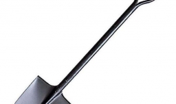 用什么药能让大树死？