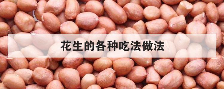 花生的各种吃法做法