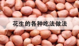 花生的各种吃法做法